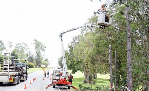 Workmen clear foliage and bamboo to improve vision yesterday on Goodwood Road at the Doolbi Five Ways. Workmen clear foliage and bamboo to improve vision yesterday on Goodwood Road at the Doolbi Five Ways.